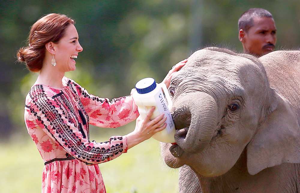 Kate Middleton and Prince William