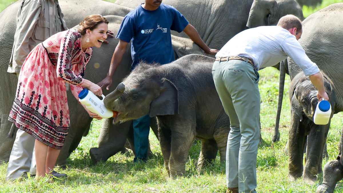 Kate Middleton and Prince William