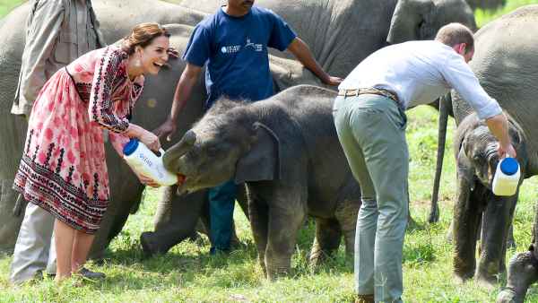 Kate Middleton and Prince William