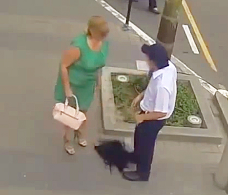 Catcalling Inline