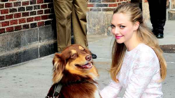 Amanda seyfried dog zoom 3d540f3a 936a 41c1 ab93 83b3e34bb2a9