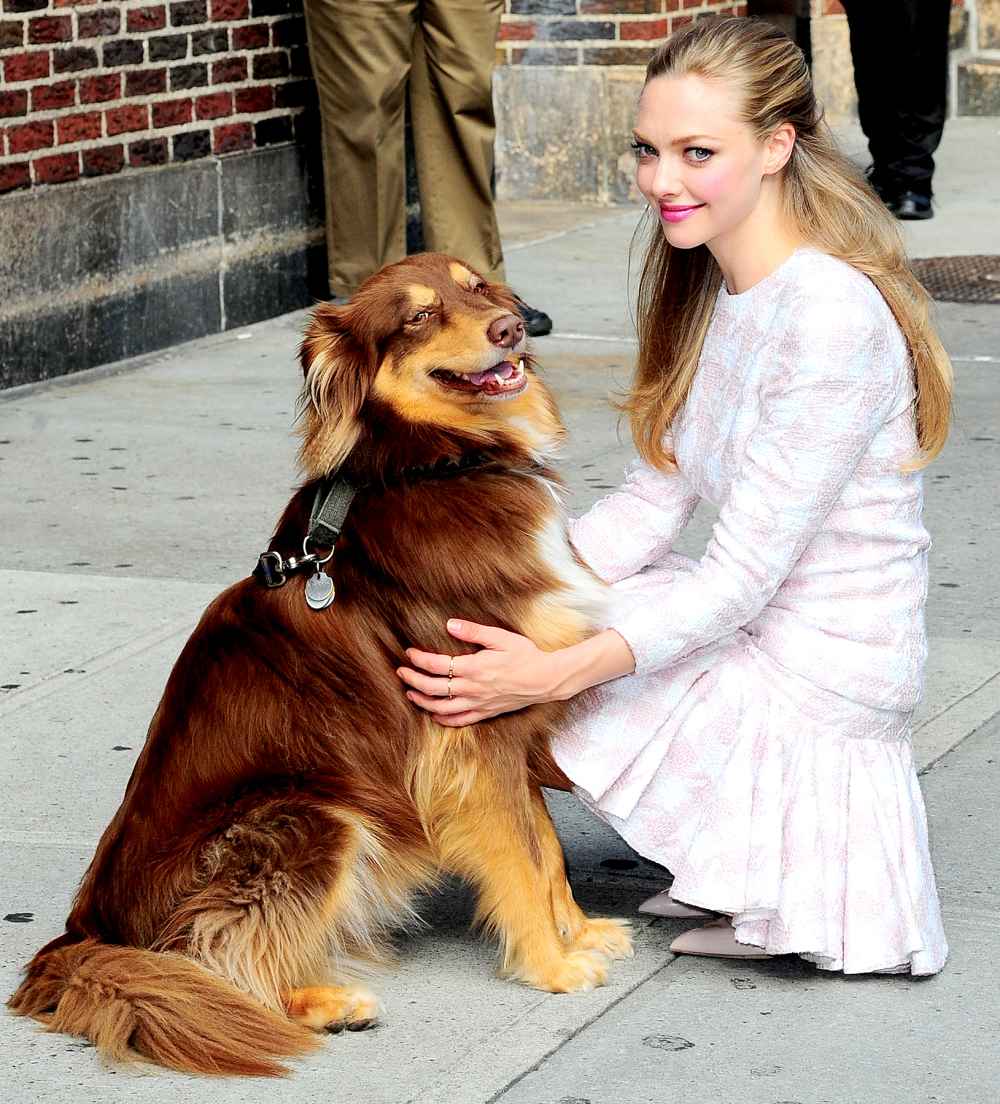 Amanda Seyfried with her dog visits "Late Show With David Letterman" at Ed Sullivan Theater on July 30, 2013 in New York City.