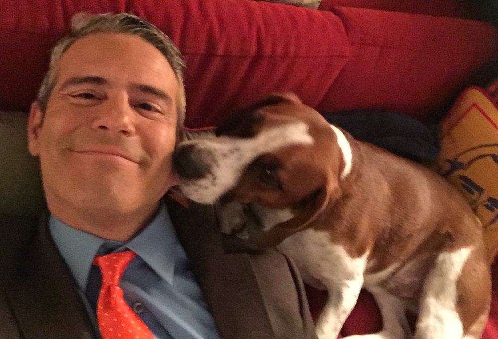 Andy Cohen and Wacha