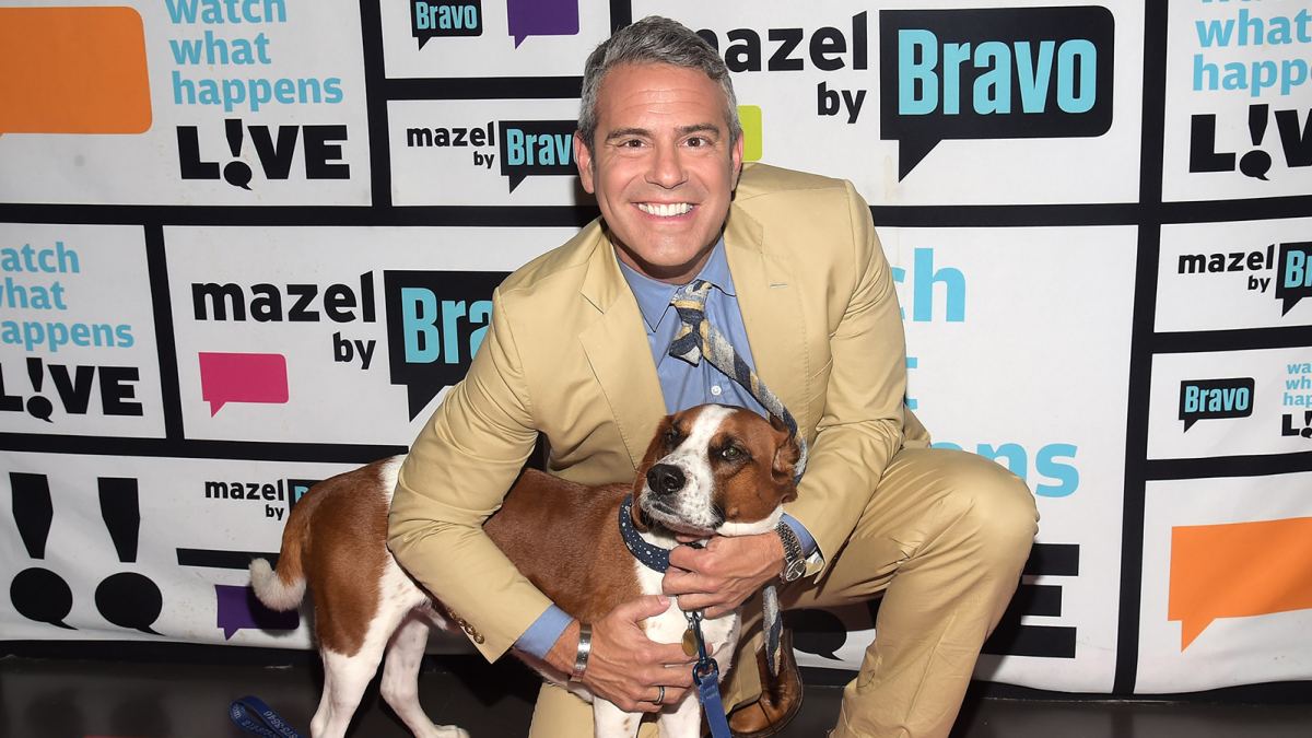 Andy Cohen