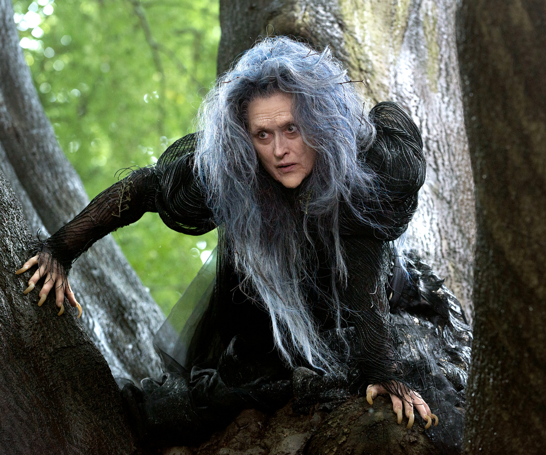 meryl-streep-as-the-witch-in-into-the-woods-picture