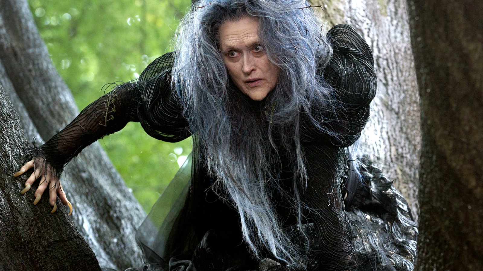 Meryl Streep As The Witch In Into The Woods Picture meryl-streep-as-the-witch-in-into-the-woods-picture