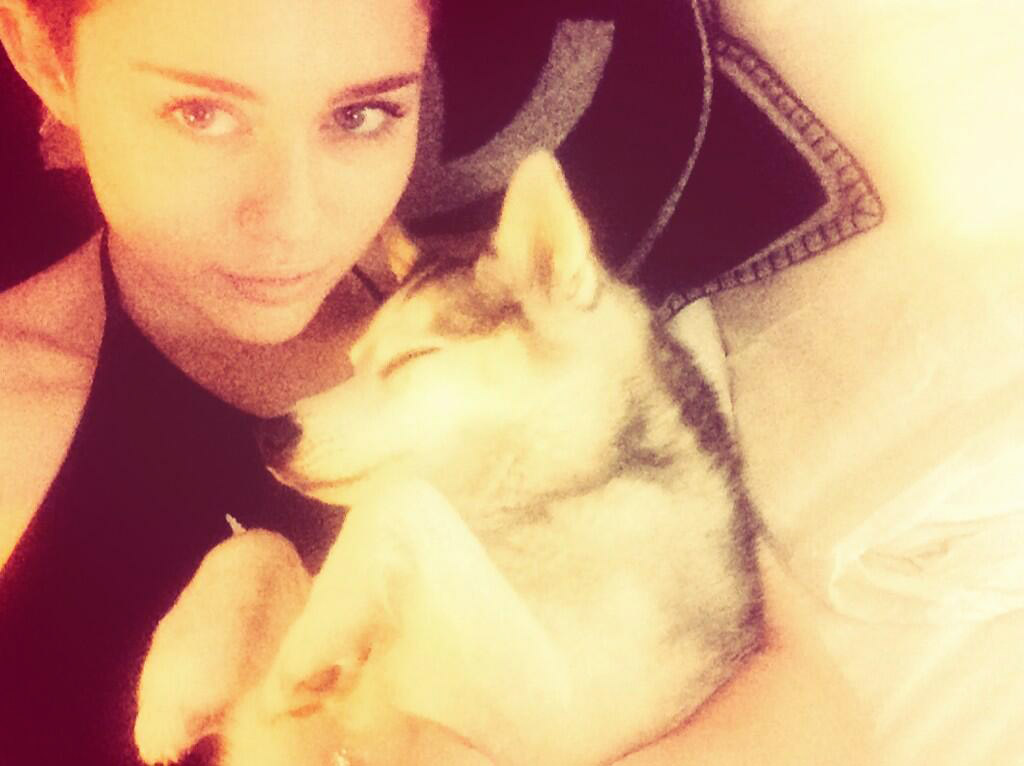 Miley Cyrus and her puppy Floyd
