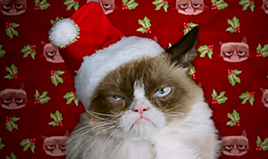 Grumpy Cat's Worst Christmas Ever Preview: First Look at Meme's Movie