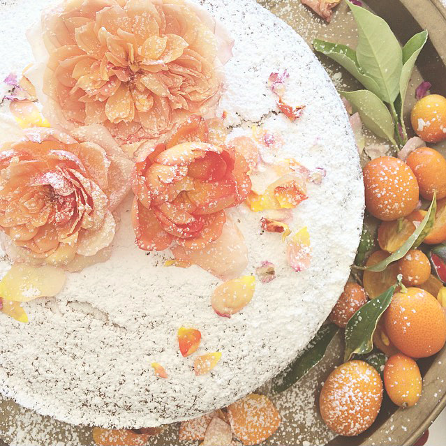 Lauren Conrad shares a photo from her new book