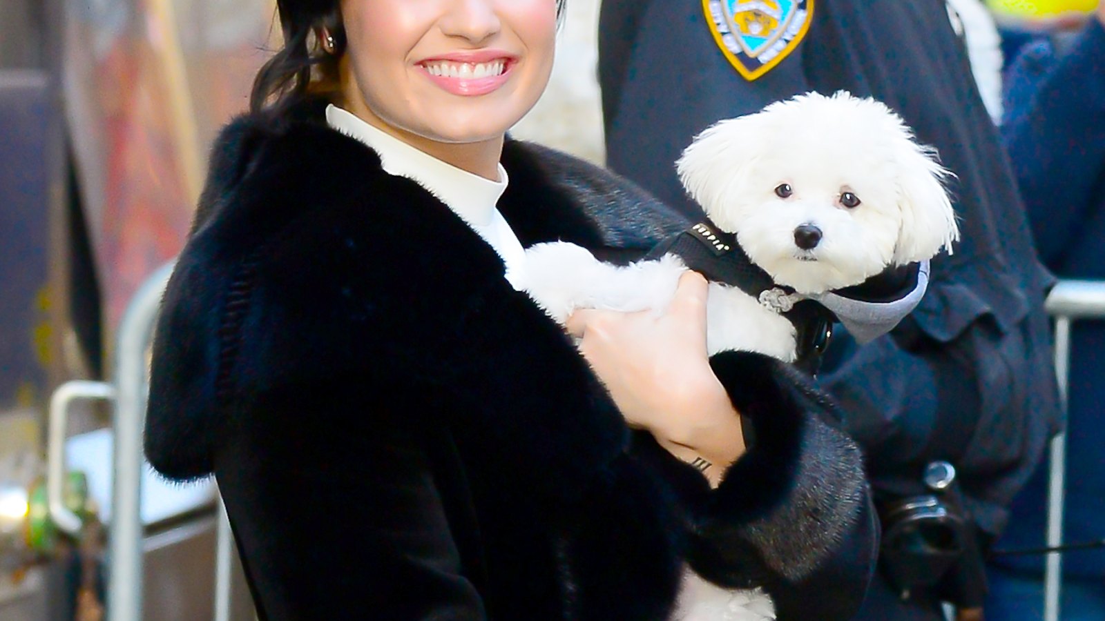 Demi Lovato's dog dies