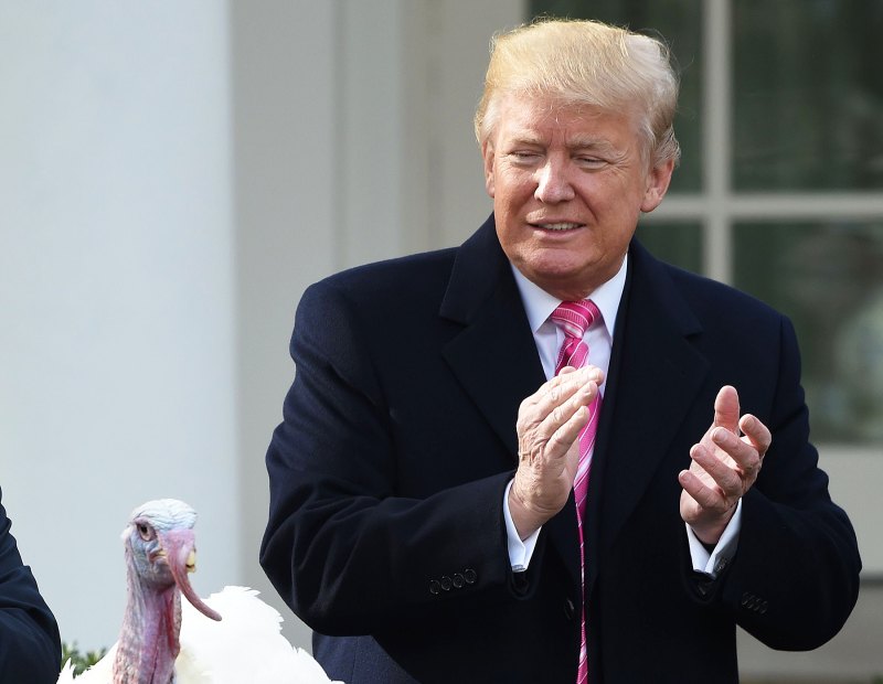 Donald Trump pardon turkey