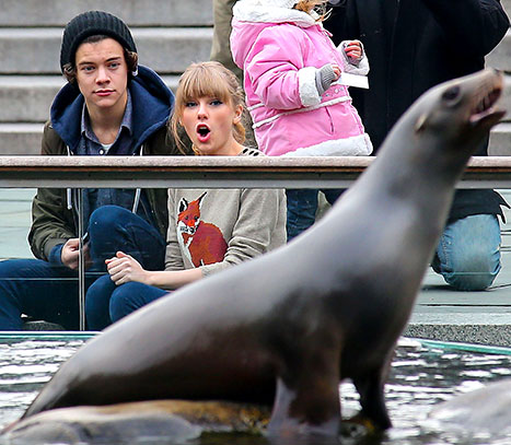 harry and taylor