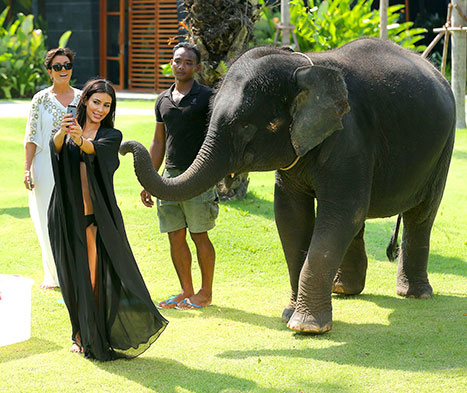 kim k selfie avec elephant