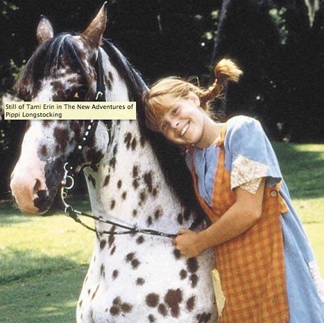Pippi Longstocking Star Tami Erin Arrested for Alleged Assault - Us Weekly