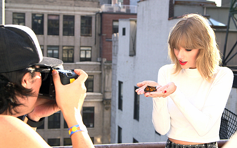 taylor swift and butterfly