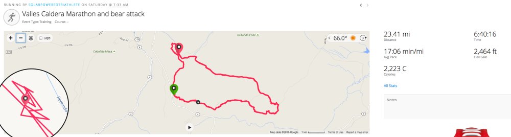 Karen Williams marathon bear attack
