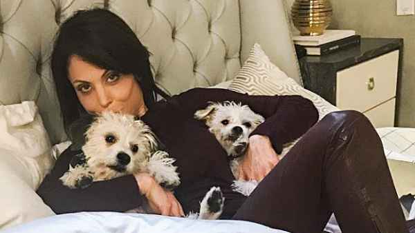 Bethenny Frankel dogs