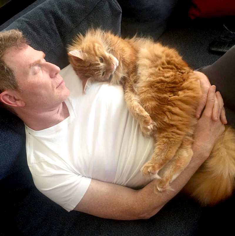 Bobby flay cat zoom cb5c8054 3e44 4112 af71 ba9409735154