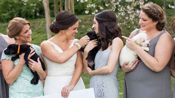 Bridesmaids puppies