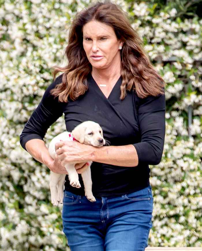 Caitlyn Jenner is seen playing with her new puppy in Malibu, CA on June 5, 2017.