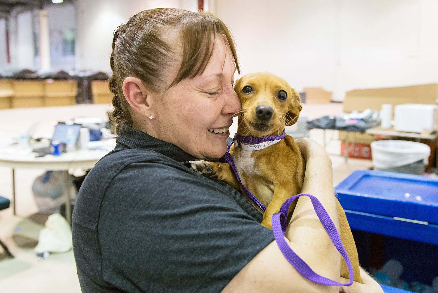 veterinary technician Carla Waters Hurricane Irma Pistachio