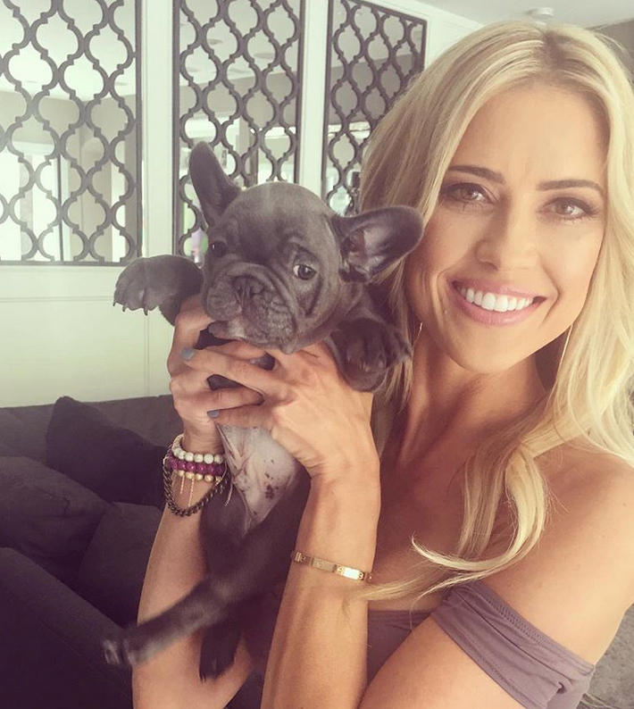 The Social Media Lives of Celebrity Pets: Unveiling their Online Paw-trait!