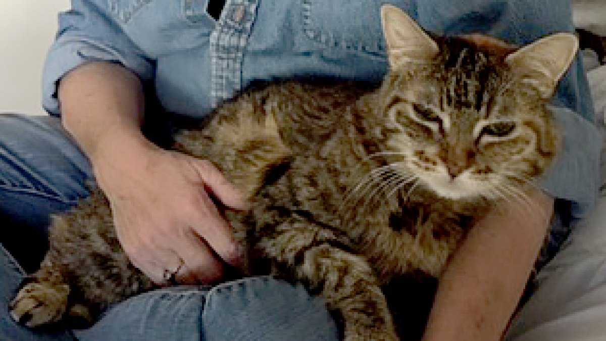 Debbie Izenman and Coco