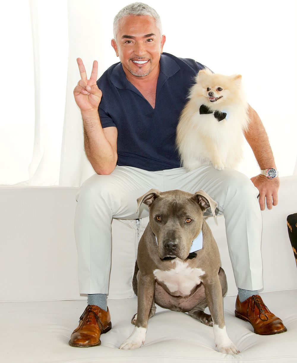 Cesar Millan celebrates season 2 of "Cesar 911" on Nat Geo Wild at SkyBar at the Mondrian Los Angeles on March 13, 2015 in West Hollywood, California.