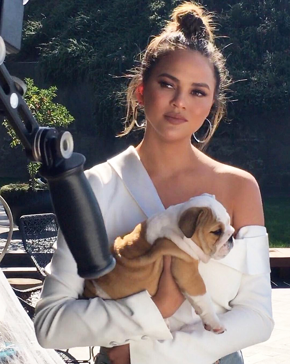 Chrissy Teigen puppy