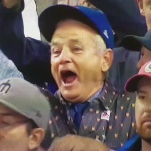 Bill Murray reacts as the Chicago Cubs win the World Series on Wednesday, Nov. 2.