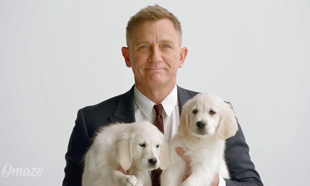 Daniel Craig puppies