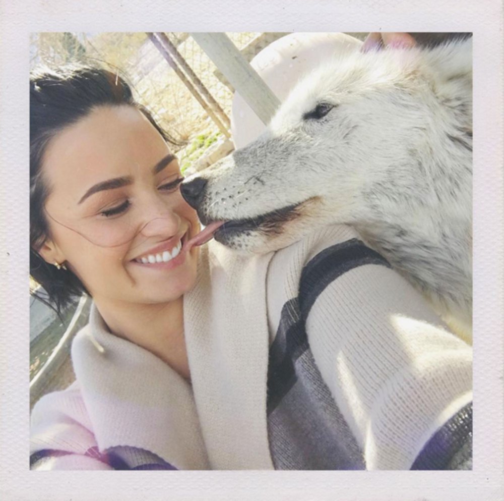 Demi Lovato