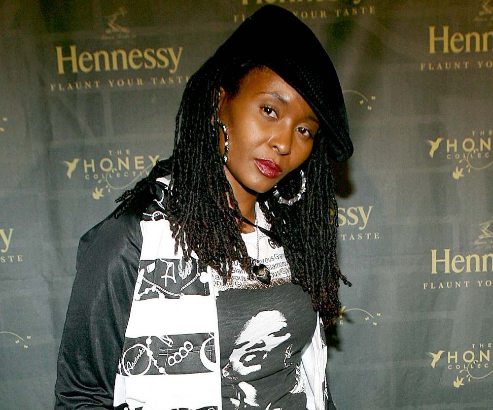 Dee Barnes arrives at the Hennessy and Honey Collective party at The Vanguard on October 29, 2008 in Los Angeles, California.