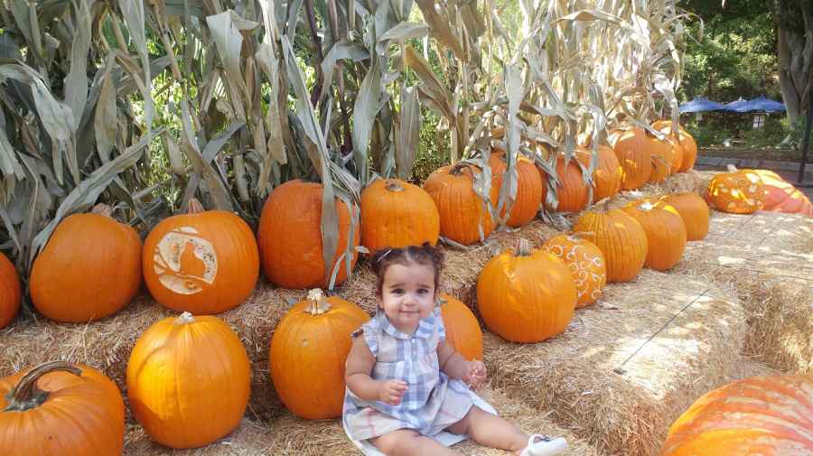 Dream Kardashian Rob Kardashian pumpkin patch