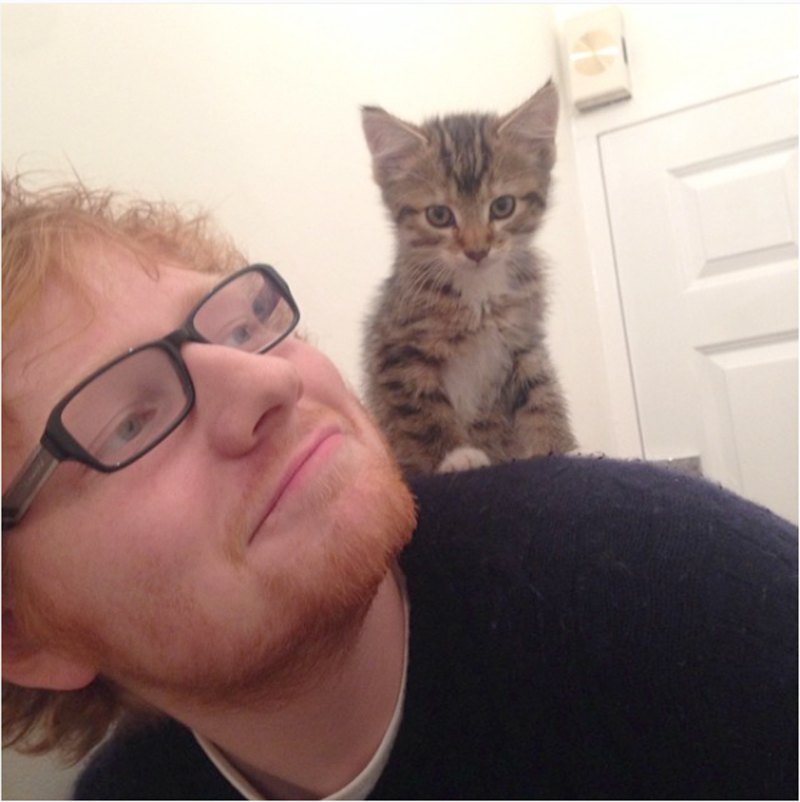 Ed Sheeran and Cat
