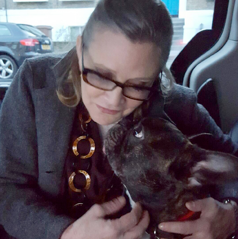 The Social Media Lives of Celebrity Pets: Unveiling their Online Paw-trait!