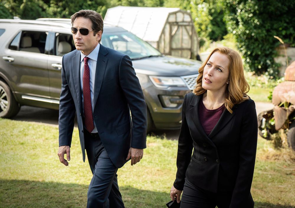 David Duchovny and Gillian Anderson