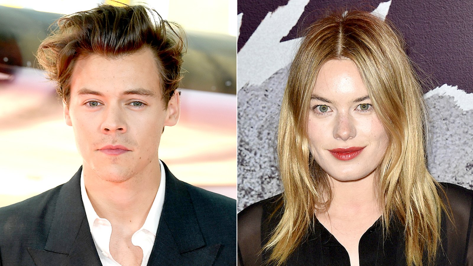Harry Styles and Camille Rowe
