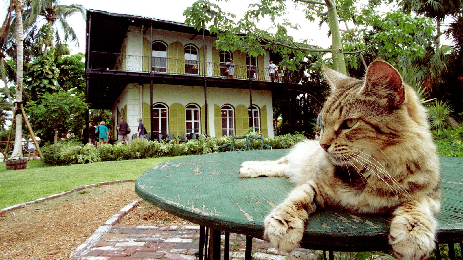A cat rests on a table in the garden of American author Ernest Hemingway''s home June 15, 1999 in Key West, Florida.