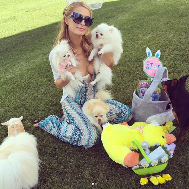 Paris Hilton's Pets