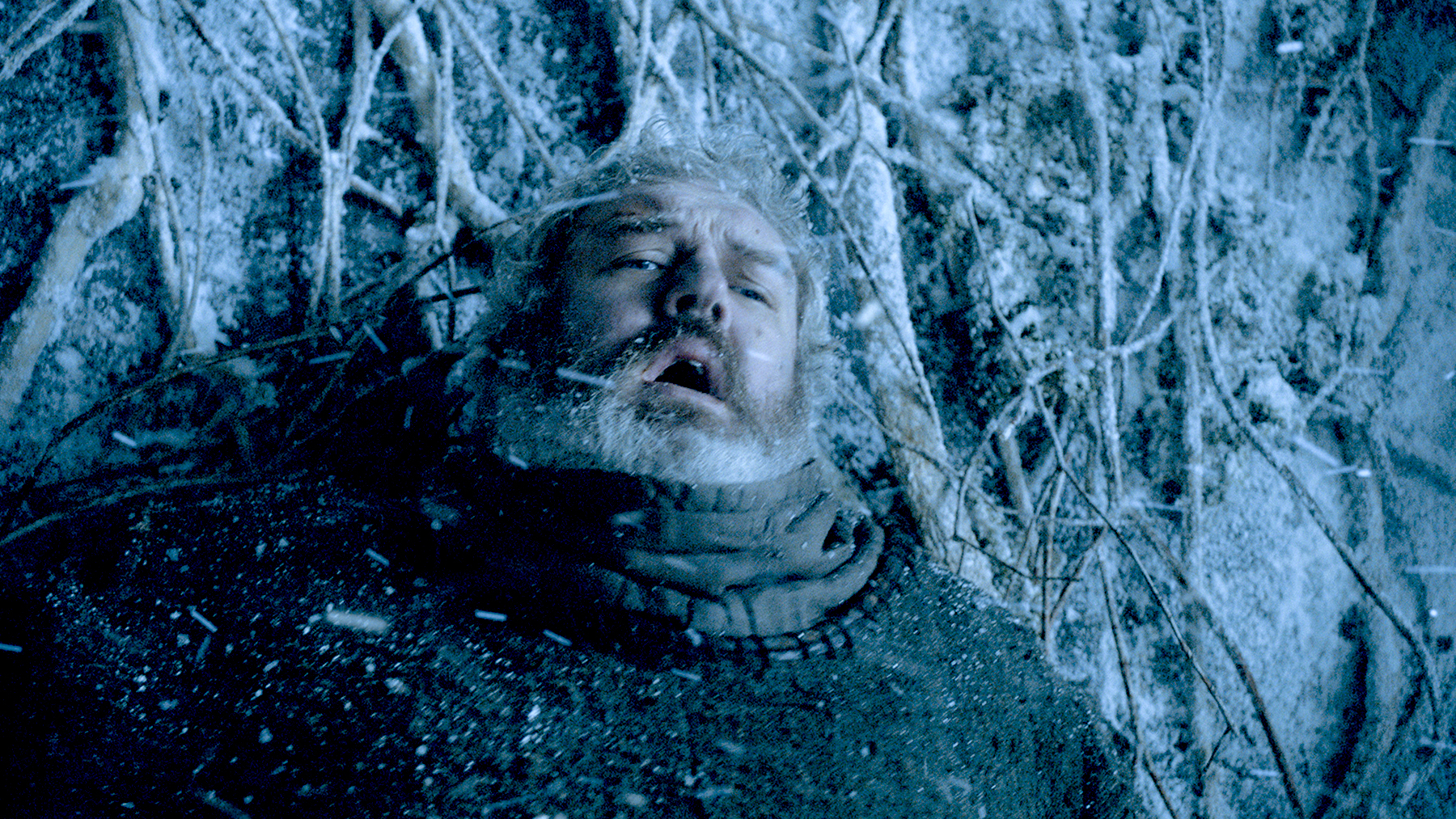 Hodor zoom 0d13cb56 0f5b 4c85 9943 19117b154a4a