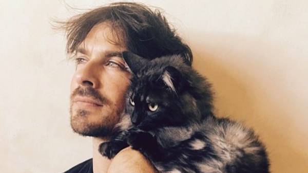 Ian somerhalder cat dd090d3d c2d6 491a b4e9 601d4b94c137