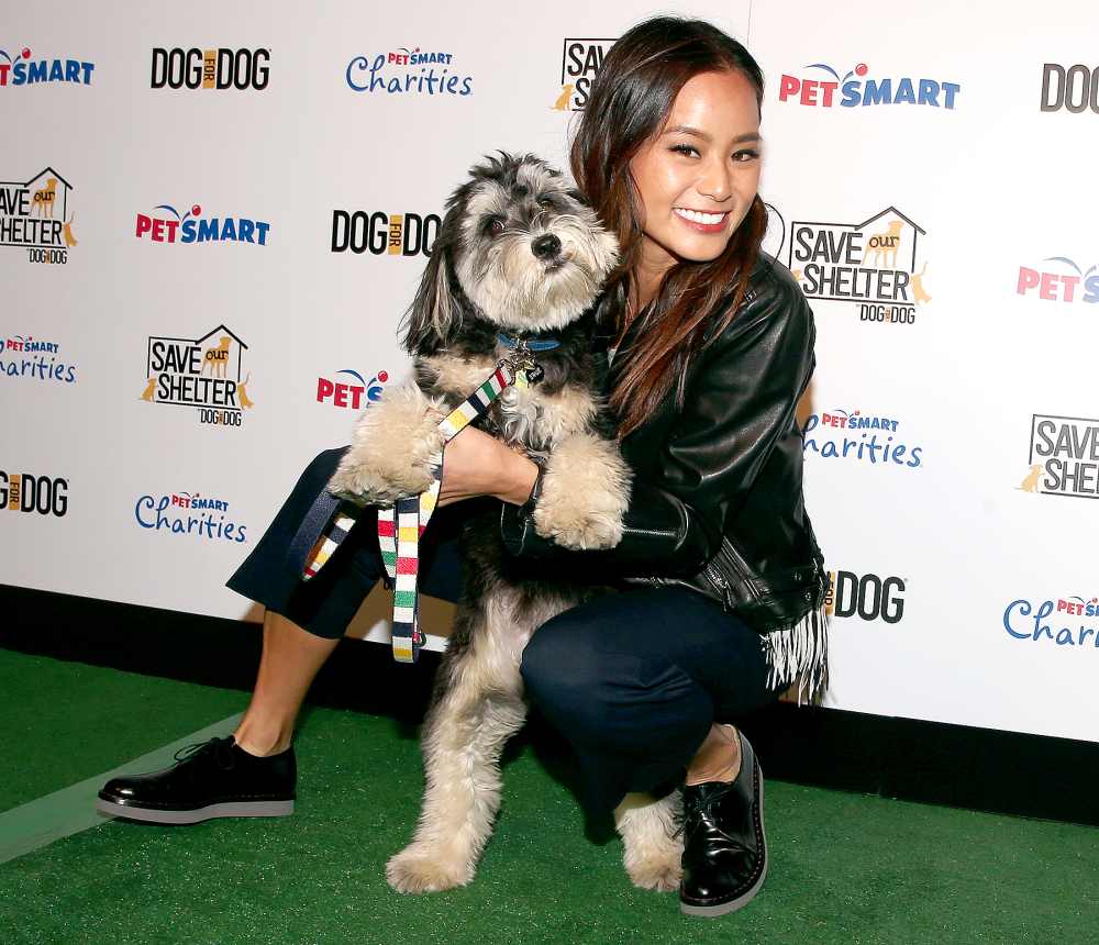 Jamie Chung and her rescue dog Ewok attend the launch of DOG for DOG movement -- Buy One Give One to help feed animals in need at The Amanda Foundation on November 10, 2015 in Beverly Hills, California. Christopher Polk/Getty Images for Dog For Dog