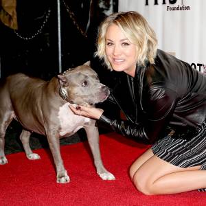 Kaley Cuoco attends the Stand Up For Pits Comedy Benefit at The Improv on November 8, 2015.