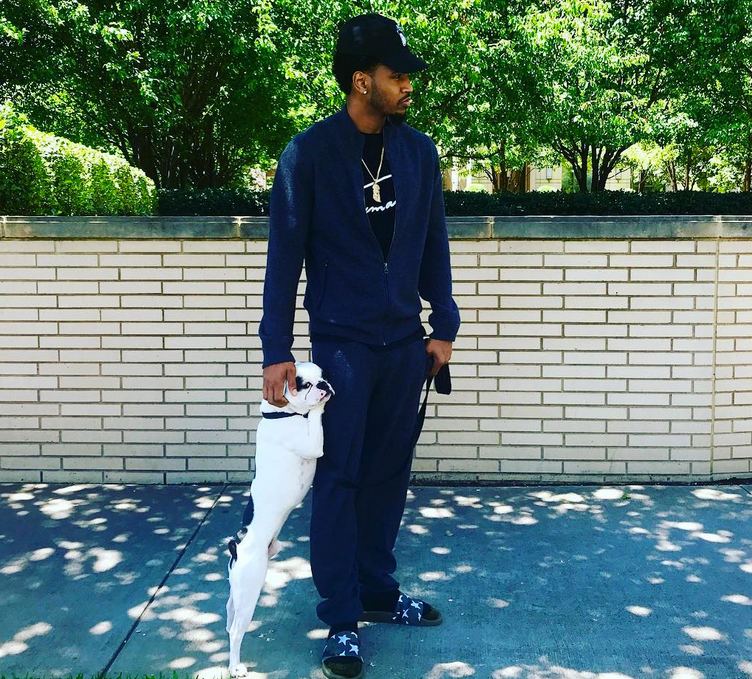 The Social Media Lives of Celebrity Pets: Unveiling their Online Paw-trait!