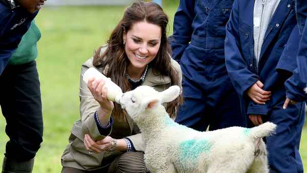 Kate middleton baby sheep zoom 698efee8 1a96 4cd0 b046 61c2b24f47a8