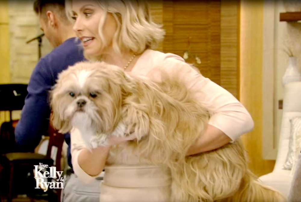 Kelly Ripa and Chewie