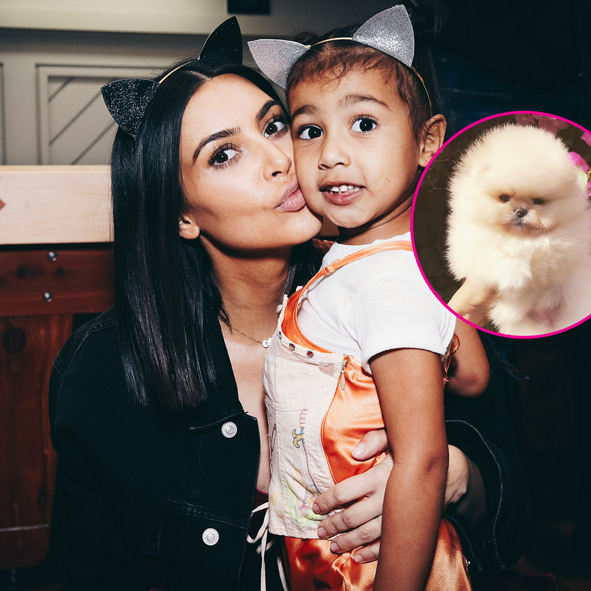 Kim kardashian north west puppy horizontal cdd60ec4 c3f4 4f75 9aa5 ddf242d0139a