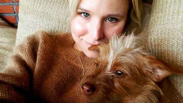 Kristen bell zoom 34431ca7 348d 406a 877c f6d1f089eb4d