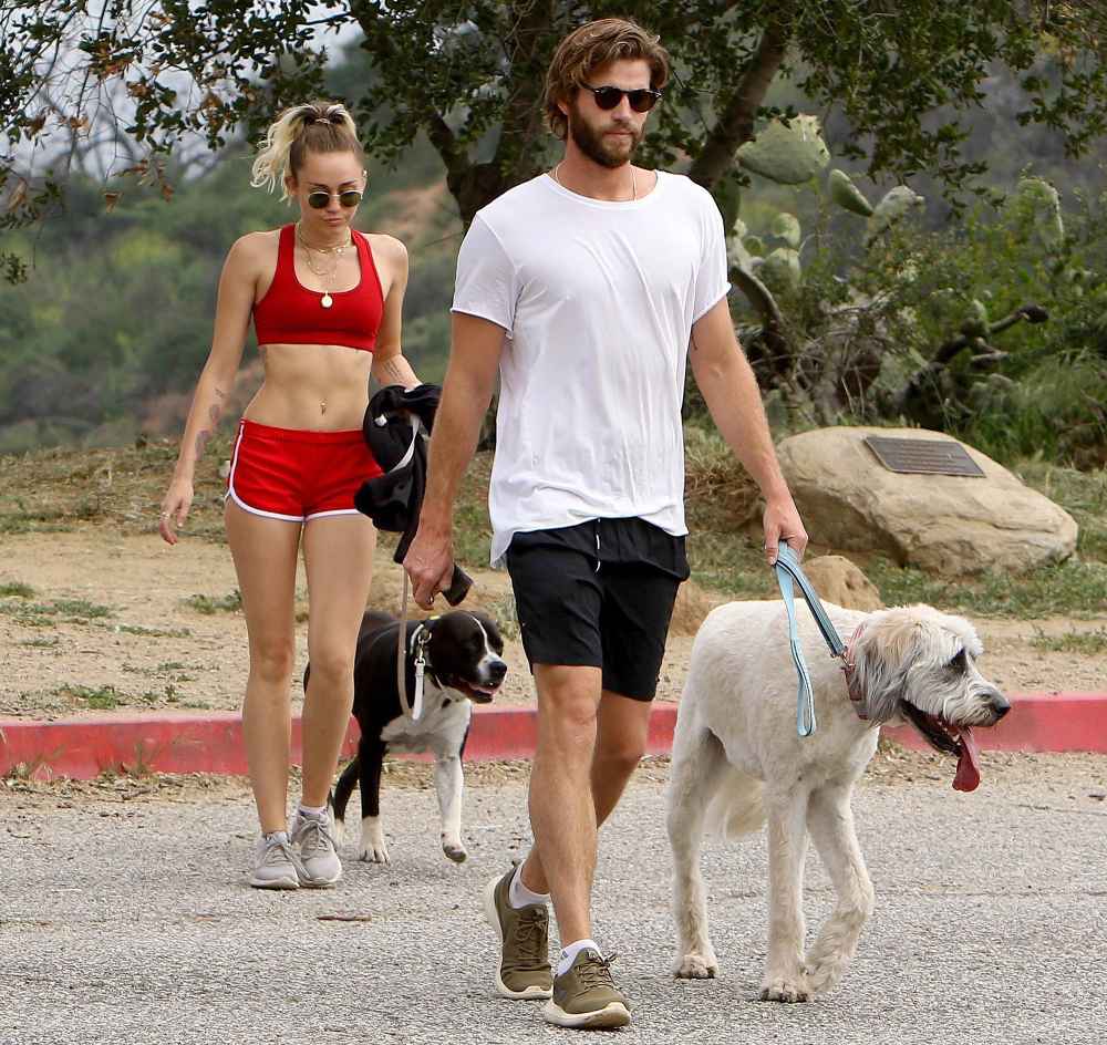 Miley Cyrus Liam Hemsworth dogs